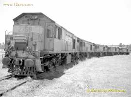 &copy; English Electric Growl&nbsp;/&nbsp;Anthony Winstone
