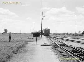 English Electric Growl