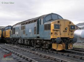 © English Electric Growl / Dean Tabor