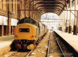 &copy; English Electric Growl&nbsp;/&nbsp;David Harlott