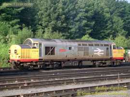 English Electric Growl