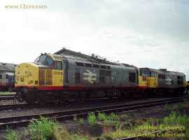 English Electric Growl