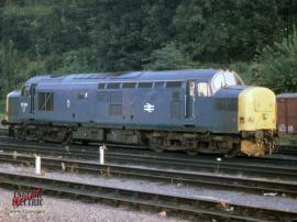 © English Electric Growl / Dean Tabor