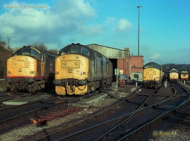 English Electric Growl