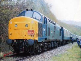 &copy; English Electric Growl&nbsp;/&nbsp;Vernon Large