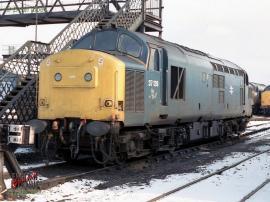 © English Electric Growl / Dean Tabor