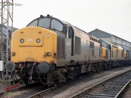 © English Electric Growl / Dean Tabor