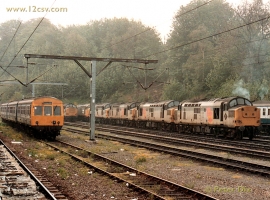 English Electric Growl