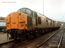 English Electric Growl