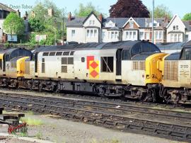 © English Electric Growl / Dean Tabor