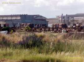 English Electric Growl