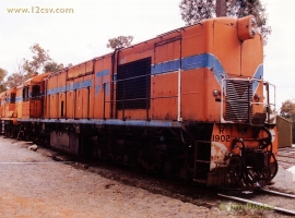 English Electric Growl