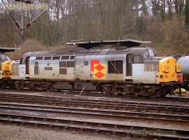 English Electric Growl