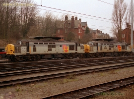 English Electric Growl