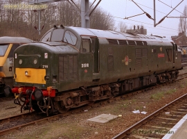 English Electric Growl