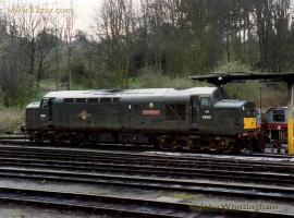English Electric Growl