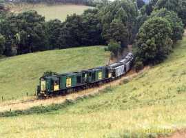 English Electric Growl