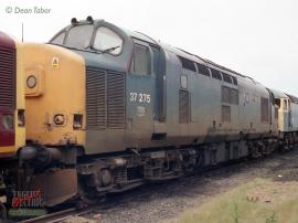 © English Electric Growl / Dean Tabor