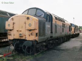 © English Electric Growl / Dean Tabor