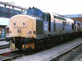 © English Electric Growl / Martin Bray