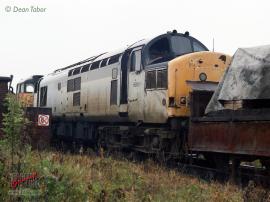 © English Electric Growl / Dean Tabor