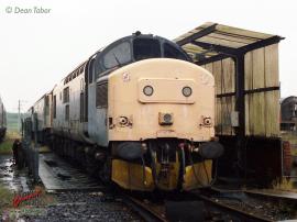 © English Electric Growl / Dean Tabor