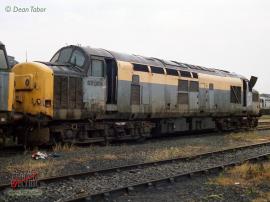 © English Electric Growl / Dean Tabor