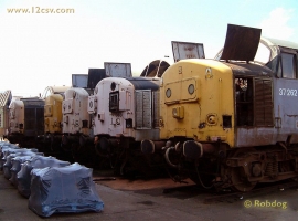 English Electric Growl