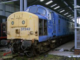 © English Electric Growl / Mark Allatt
