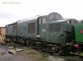 English Electric Growl
