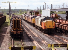 English Electric Growl