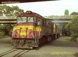 English Electric Growl