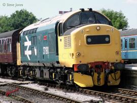 © English Electric Growl / Steve Jones