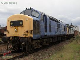 © English Electric Growl / Craig Adamson