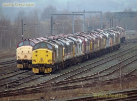 English Electric Growl
