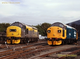 &copy; English Electric Growl&nbsp;/&nbsp;Andy Stoddon