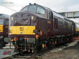 © English Electric Growl / Mark Allatt