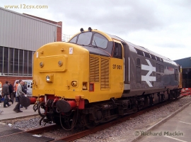 © English Electric Growl / Rich Mackin