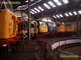 &copy; English Electric Growl&nbsp;/&nbsp;Gray Wilson