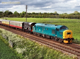 &copy; English Electric Growl&nbsp;/&nbsp;Greasy Rails