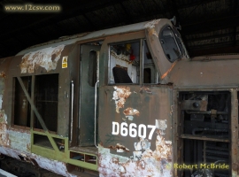 &copy; English Electric Growl&nbsp;/&nbsp;Robert McBride