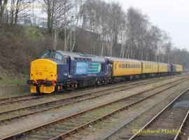 © English Electric Growl / Rich Mackin